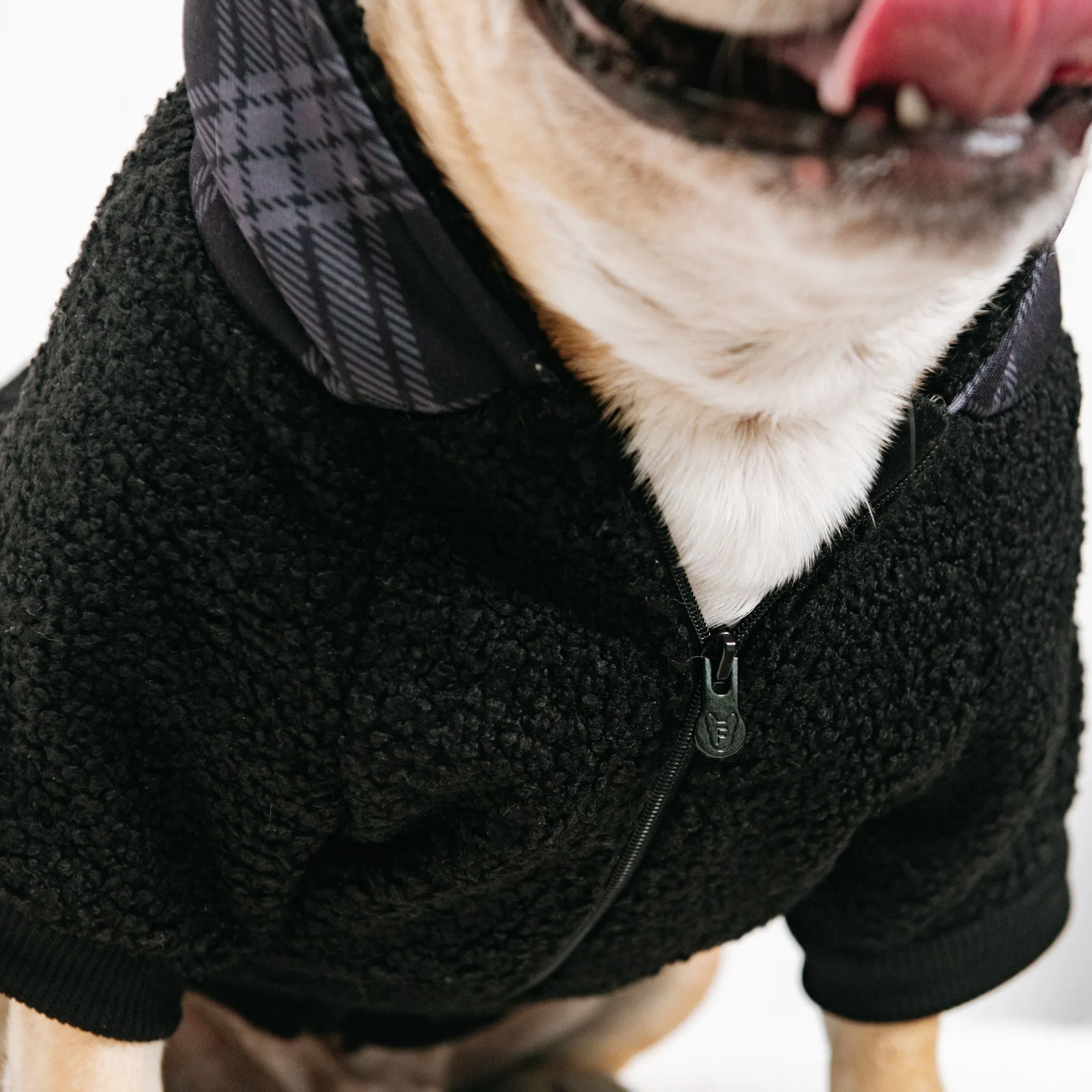 Frenchie Dog Hoodie - Black Plaid