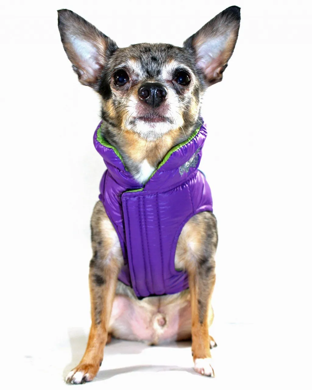 Reversible Winter Dog Jacket - Hip Doggie Featherlite Reversible-Reflective Puffer Vest Green/Purple